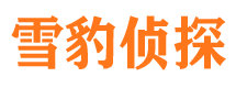 延吉侦探公司